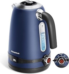 Guía para elegir el hervidor de agua con temperatura regulable ideal