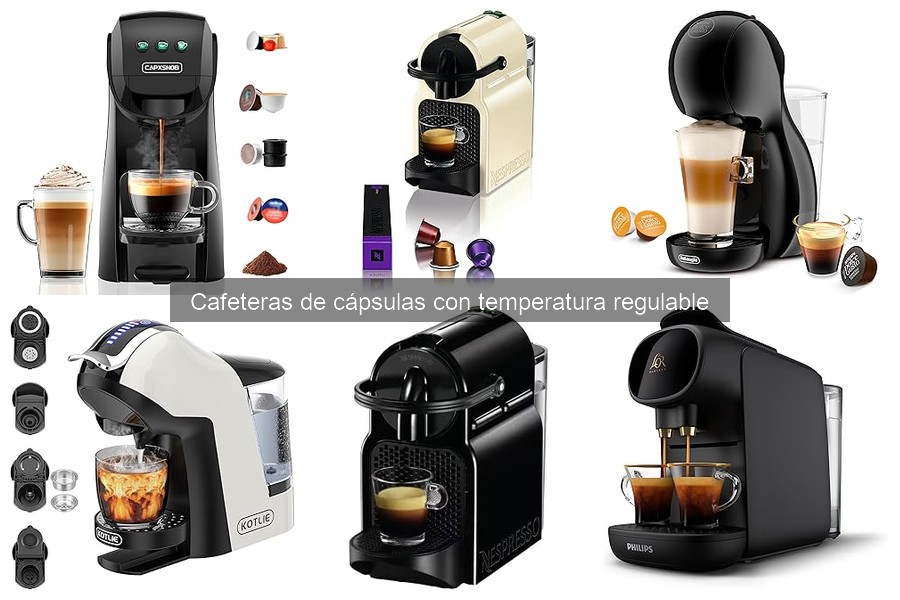 Alternativas a Cafeteras de Cápsulas con Temperatura Regulable