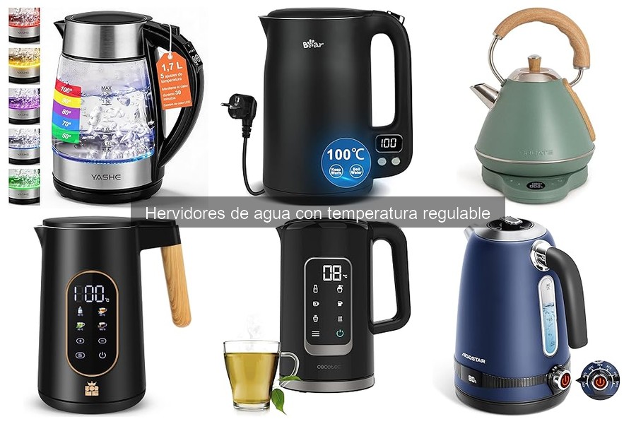 Alternativas a hervidores de agua con temperatura regulable