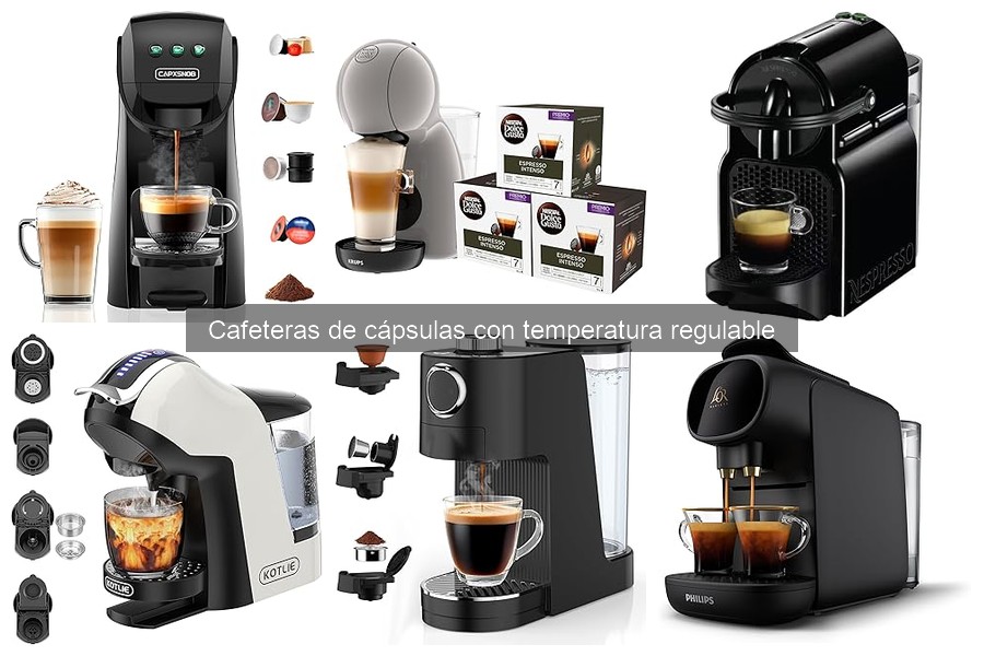 Cápsulas compatibles con cafeteras de temperatura regulable