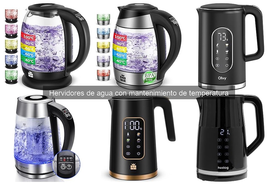 Cómo mantener tu hervidor de agua con control de temperatura