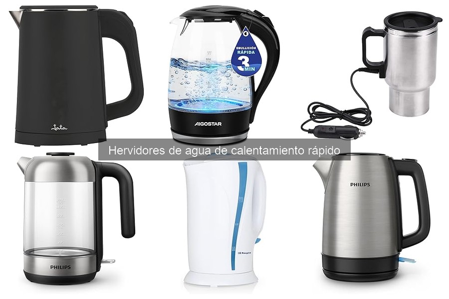 Comparativa de hervidores rápidos: económicos vs. gama alta