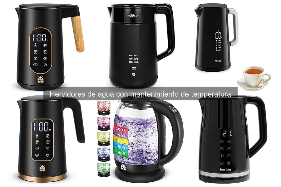 Dónde comprar hervidores de agua con mantenimiento de temperatura