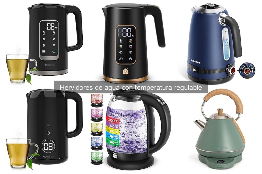 Dónde comprar hervidores de agua con temperatura regulable