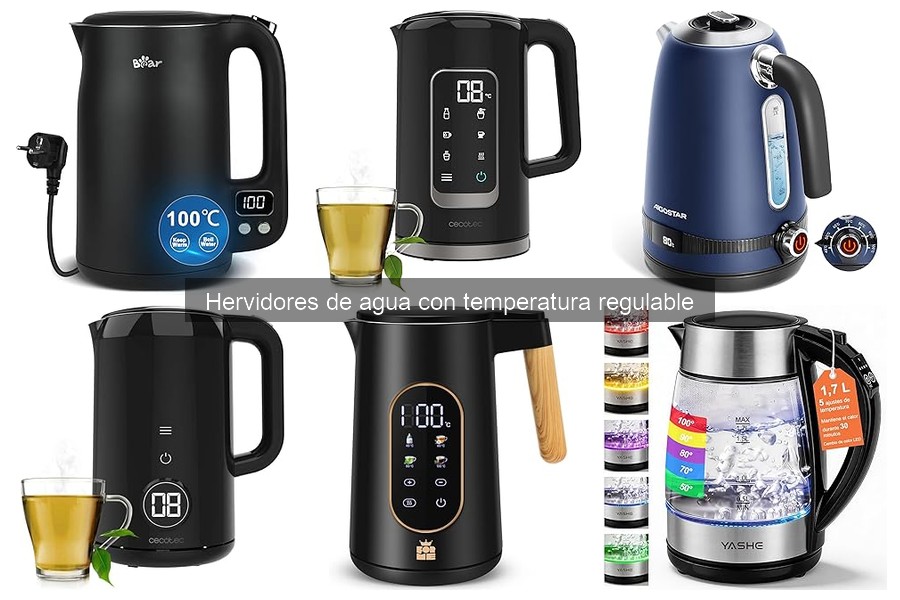 Mantenimiento y limpieza de hervidores de agua regulables