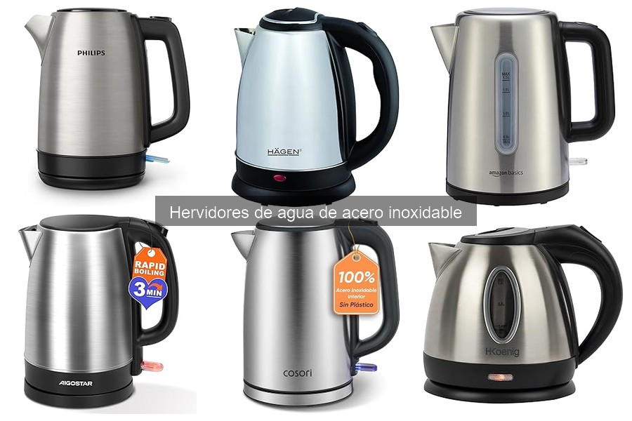 Mejores hervidores de agua de acero inoxidable para el hogar