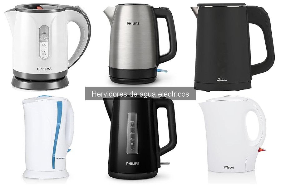 Opiniones sobre hervidores de agua eléctricos: Hagen y más