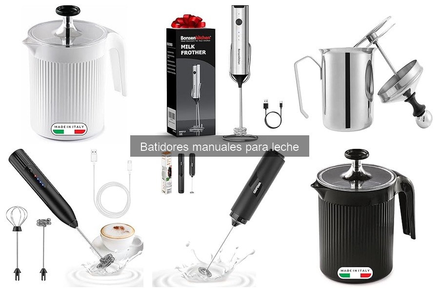 Precios de batidores manuales para leche: Guía de compras
