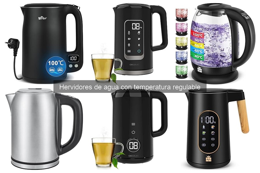 Precios de hervidores de agua con temperatura regulable