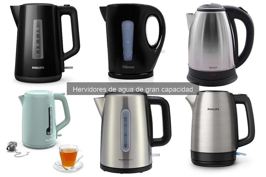 Problemas comunes de hervidores de gran capacidad y soluciones