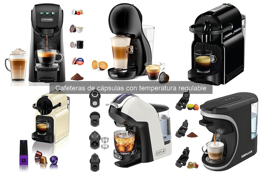Problemas comunes en cafeteras de cápsulas con temperatura regulable