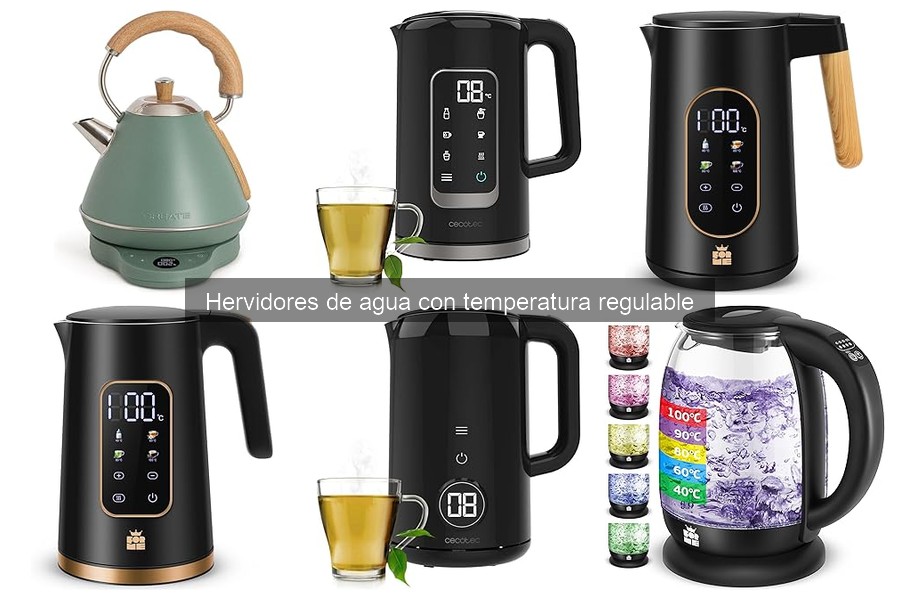 ¿Qué es un hervidor de agua con temperatura regulable?
