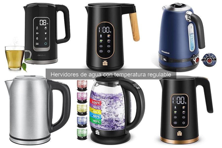 ** Ventajas y desventajas de hervidores de agua con temperatura